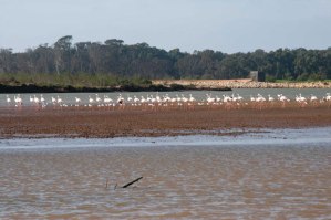 parque_nacional_Souss-Massa