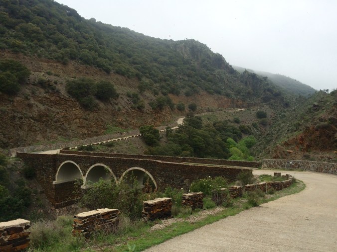 Foto 2-5-15 11 34 25