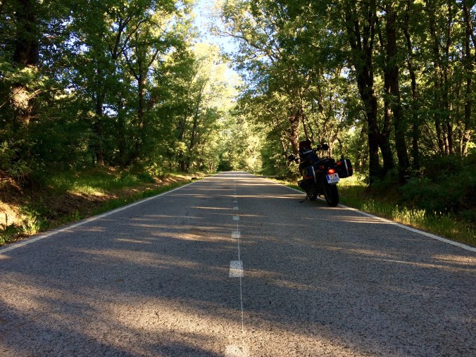 Foto 31-5-15 8 12 07