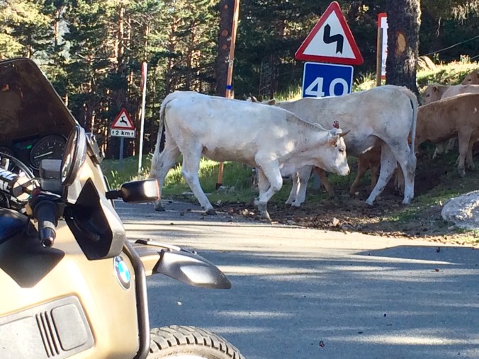 Foto 31-5-15 9 13 00